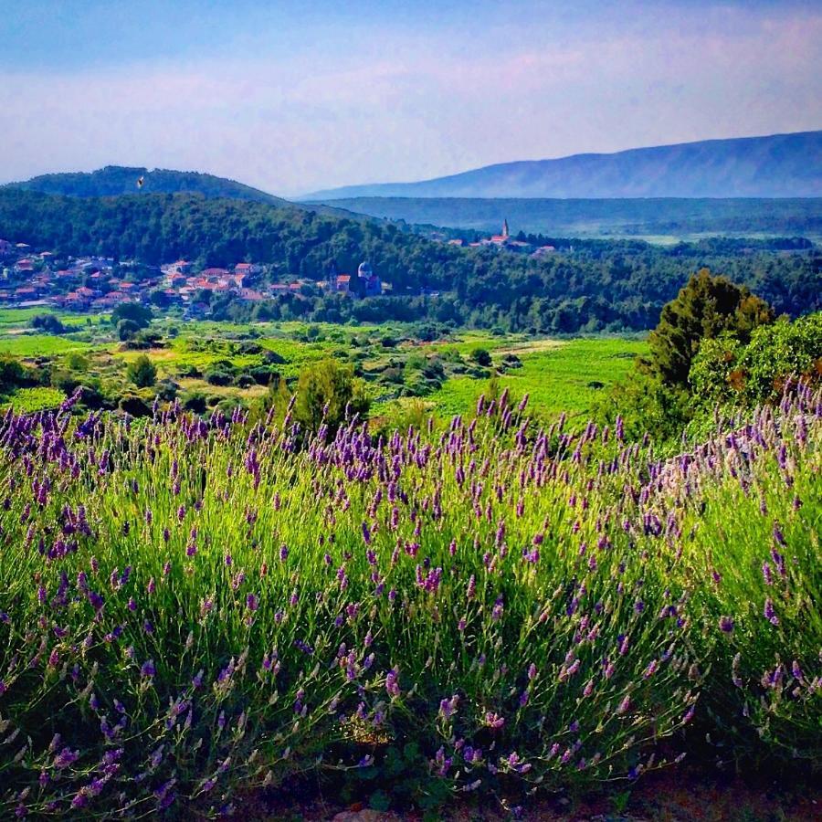 Villa Veli Nova Zavala Buitenkant foto